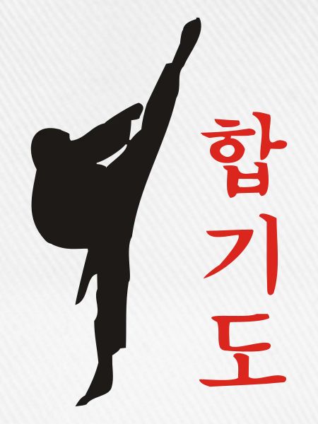 Hapkido Kick