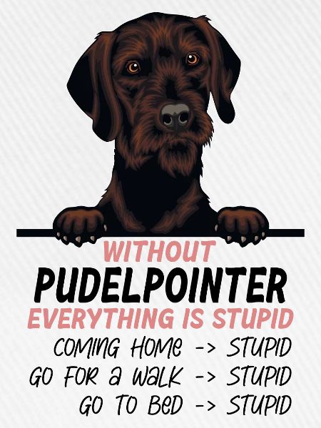 Ohne Pudelpointer ist alles doof