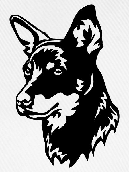 Lancashire Heeler Kopf