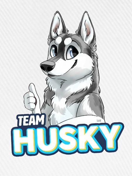 TEAM Husky - Grau