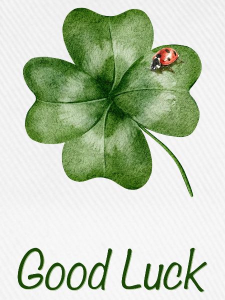 Good Luck – Kleeblatt mit Marienkäfer