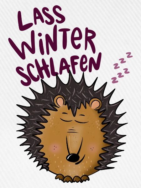 Igel im Winterschlaf