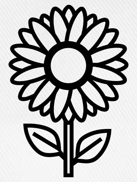 Sonnenblume