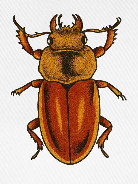 Kunstdruck „Crimson Bug“