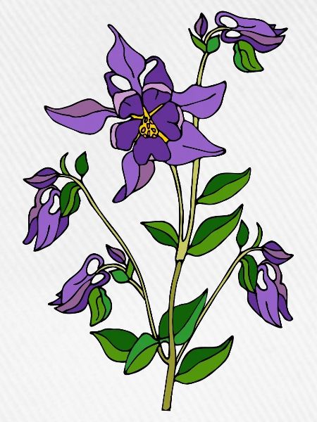 Blumen