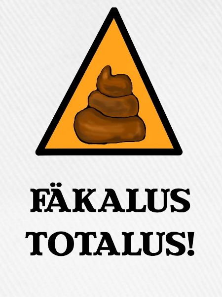 Fäkalus Totalus Witziger Zauberspruch