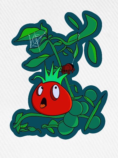 Die ängstliche Punker-Tomate