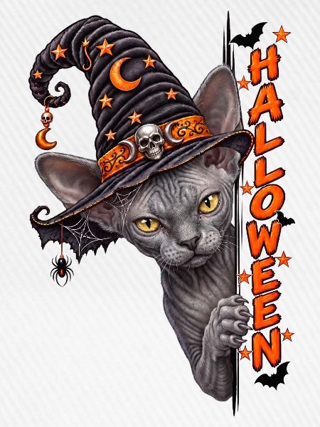 Sphinx Katze Hexenhut Halloween Design