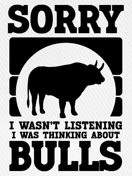Stier Spruch Humor