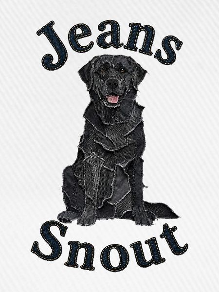 Schwarzer Labrador Retriever im Jeansflicken-Stil