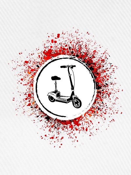 E-roller Icon E Scooter
