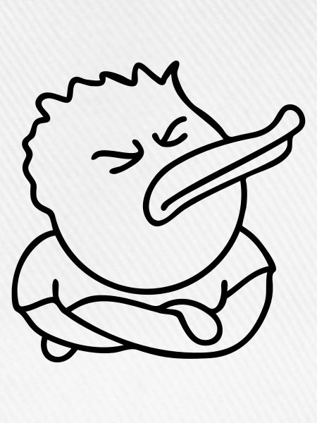 Offended Duck