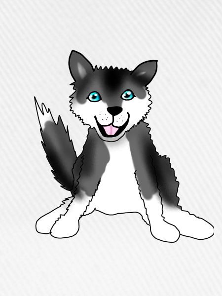 Husky