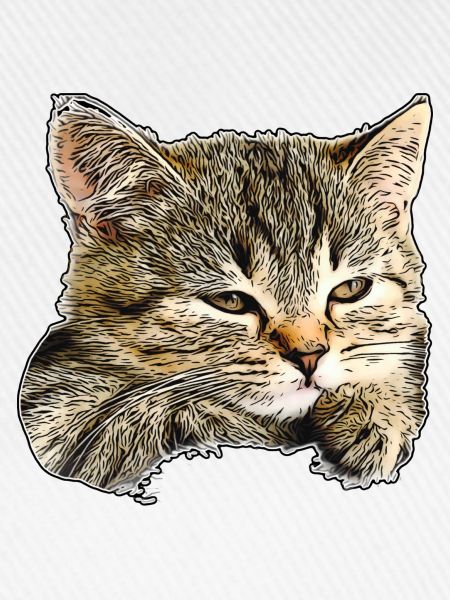 Cat face