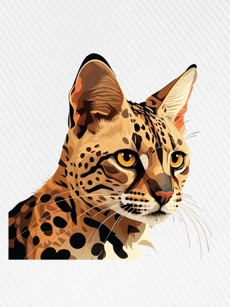 BENGAL