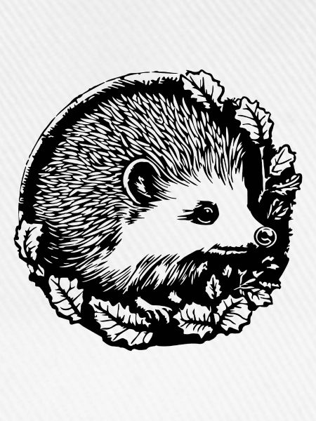 Igel Wald Stachelig Tier