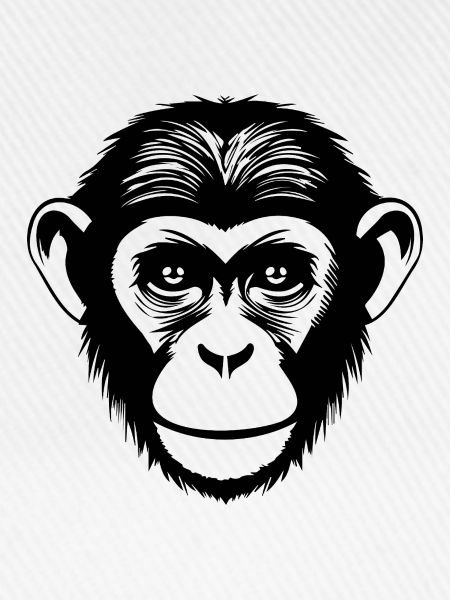 Affe Affen Affengesicht Dschungel