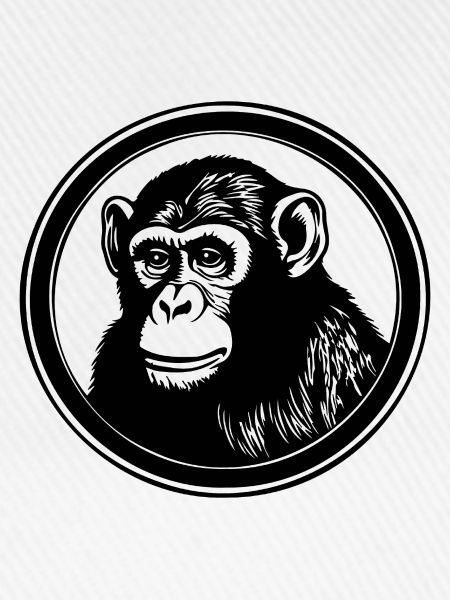 Affe Affen Affengesicht Dschungel