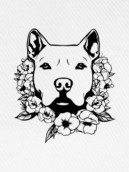 Pitbull