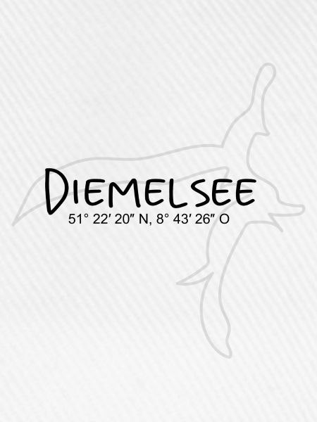 Diemelsee