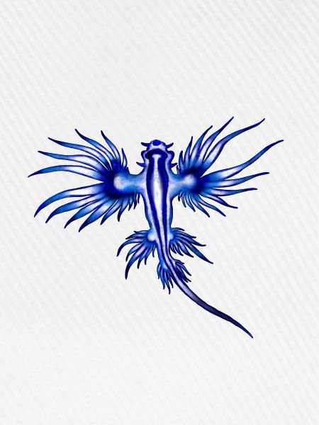 BLAUER DRACHE