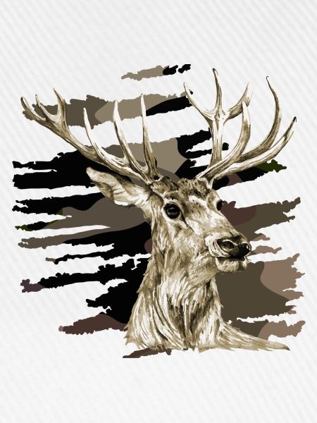 Hirsch