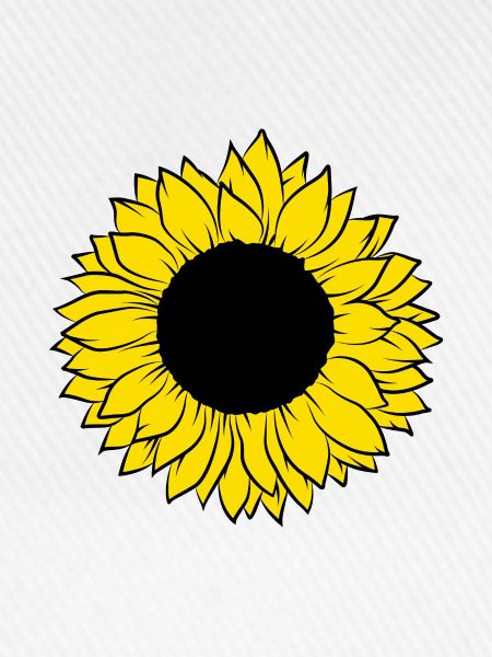 Sonnenblume
