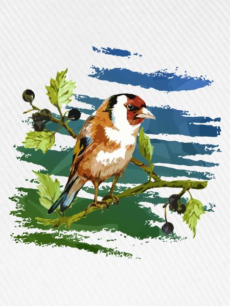 Bunter Vogel