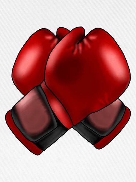 Boxhandschuhe 4
