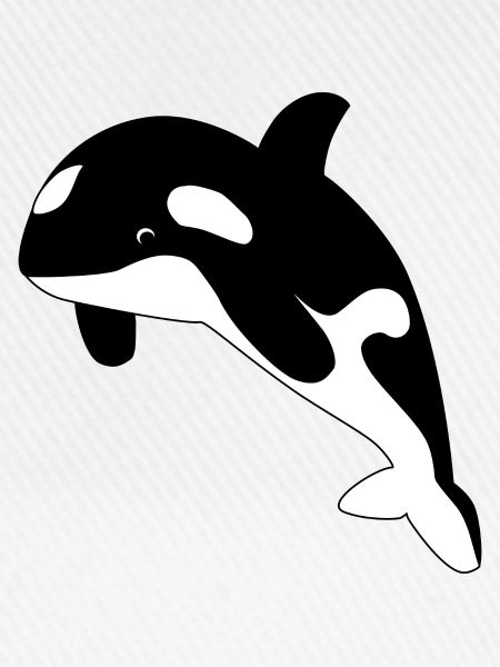 Orca / Schwertwal