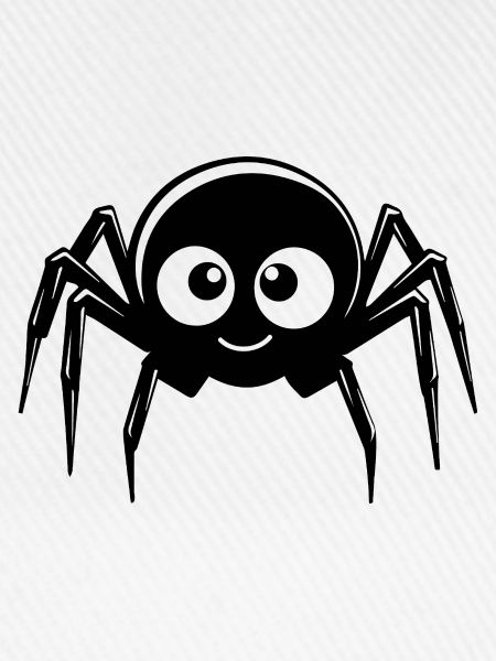 Spinne Spinnen Tiere