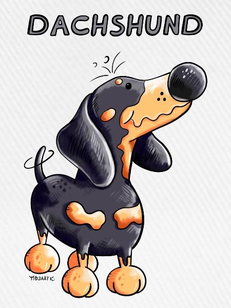 Knuffiger Dackel