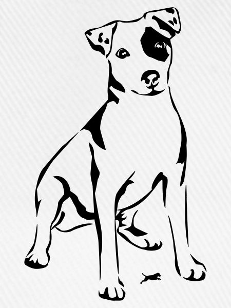 Jack Russel