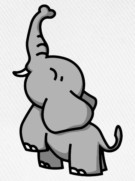 Elefant - Elephant - éléphant