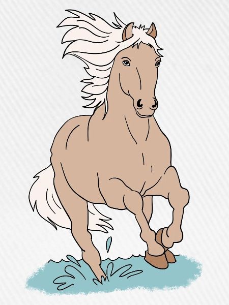 Pferd Pferde