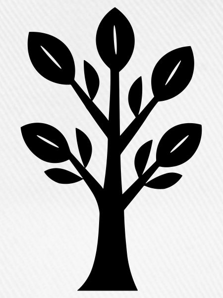 Baum