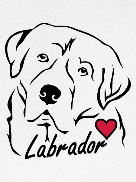 Labrador ❤