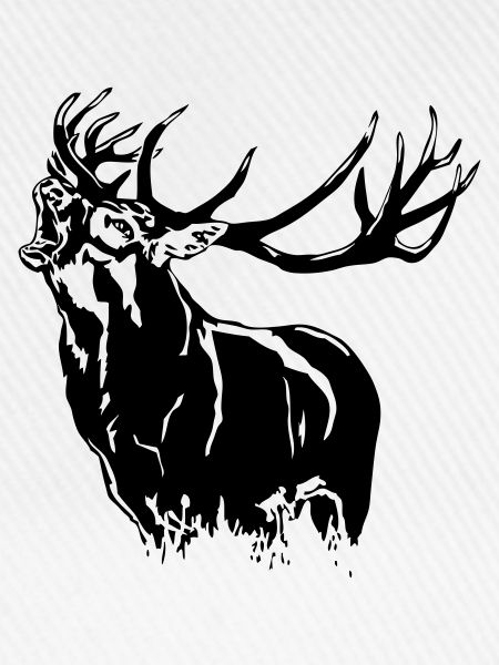 Deer - Hirsch
