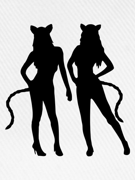 Team 2 Katzen