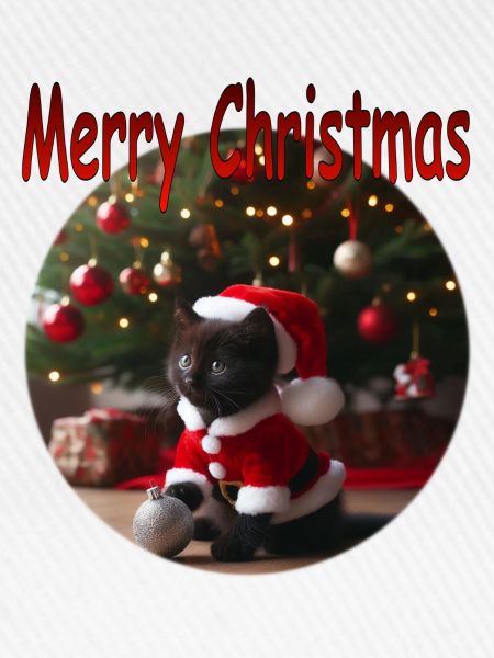 Merry Christmas Cat 01
