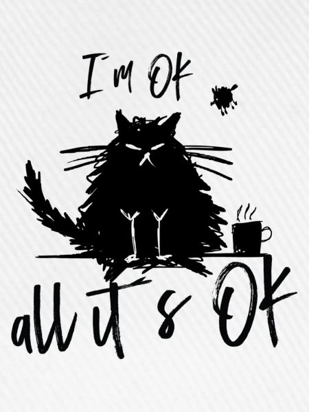 Katze lustig funny