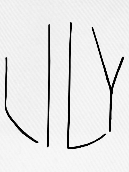 Lily