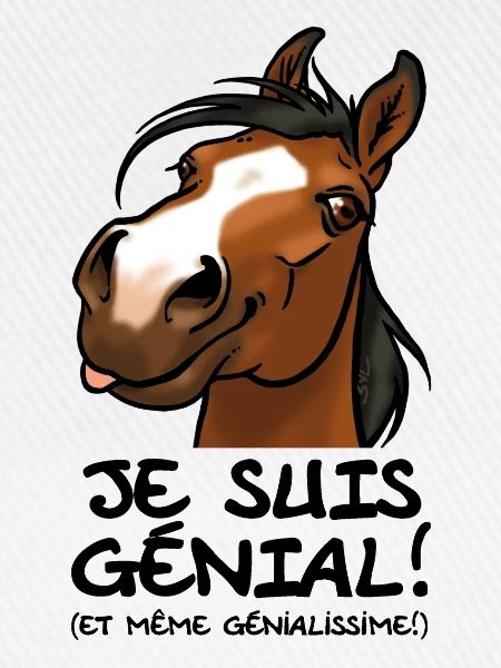 Pferd "I'm awesome" (schwarzer Text)