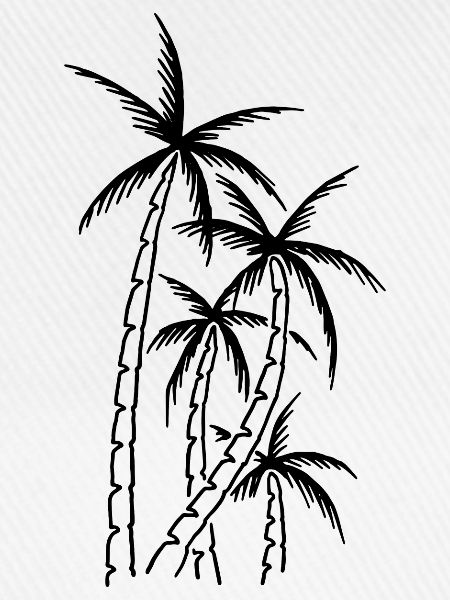 Palmen