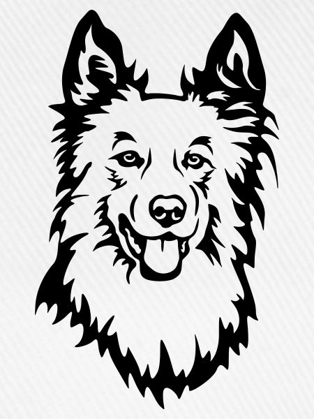 Harzer Fuchs Kopf