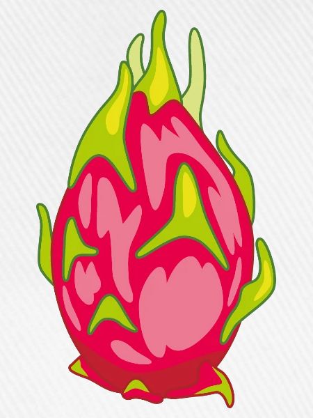 Pitaya Drachenfrucht
