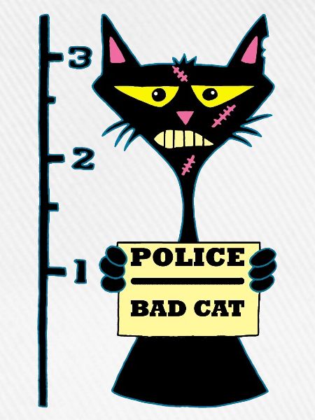 Abschaum-Katze