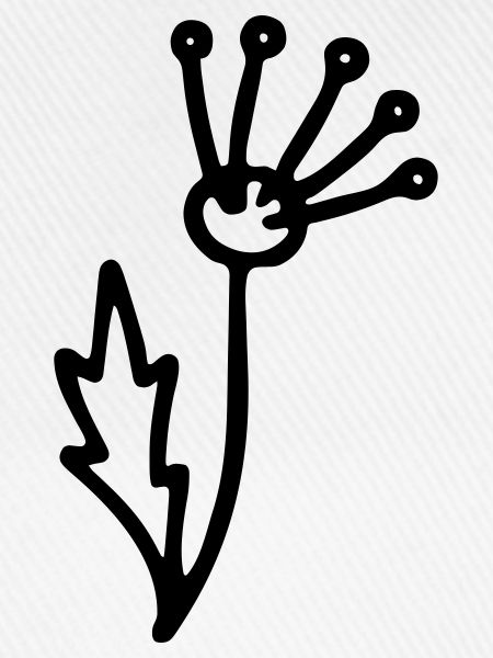 Blume 2