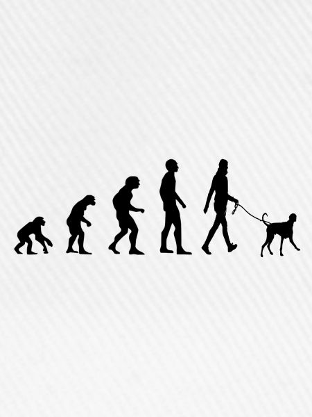 Hundehalter Hund Evolution