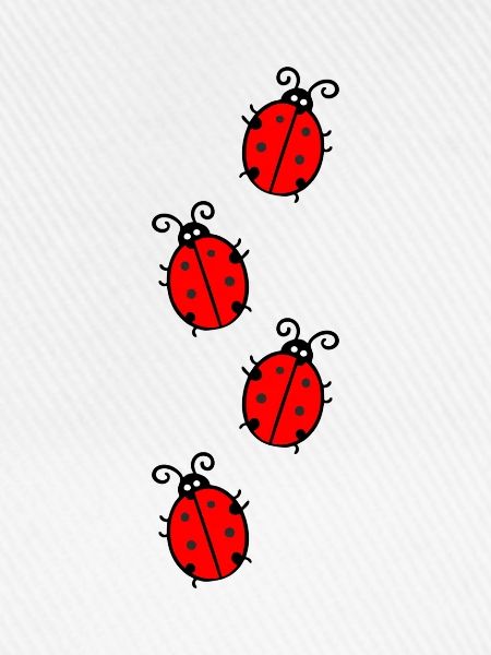 marienkäfer / ladybug / ladybird